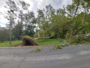 oakdale post storm cleanup pictures